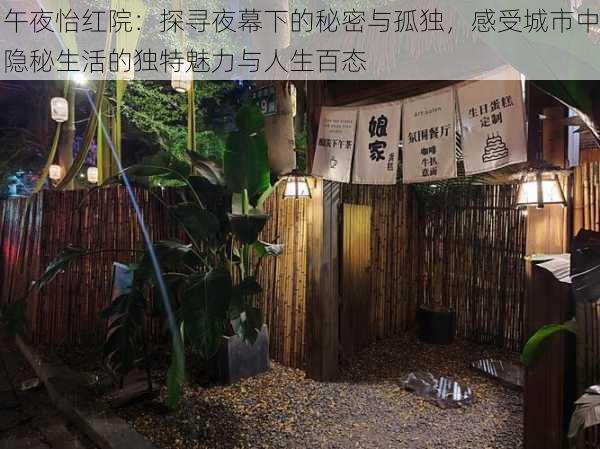 午夜怡红院：探寻夜幕下的秘密与孤独，感受城市中隐秘生活的独特魅力与人生百态