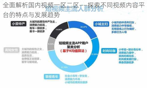 全面解析国内视频一区二区——探索不同视频内容平台的特点与发展趋势