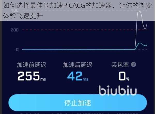 如何选择最佳能加速PICACG的加速器，让你的浏览体验飞速提升