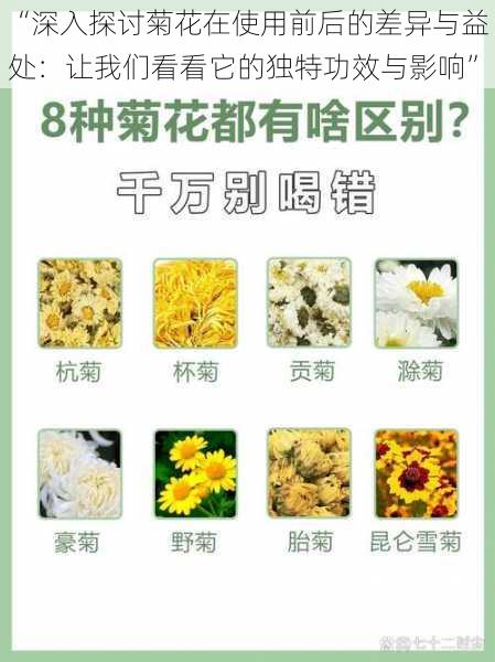 “深入探讨菊花在使用前后的差异与益处：让我们看看它的独特功效与影响”