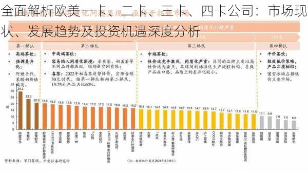 全面解析欧美一卡、二卡、三卡、四卡公司：市场现状、发展趋势及投资机遇深度分析