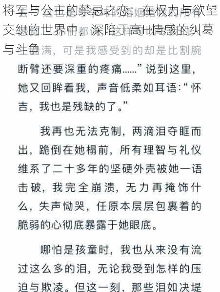 将军与公主的禁忌之恋：在权力与欲望交织的世界中，深陷于高H情感的纠葛与斗争