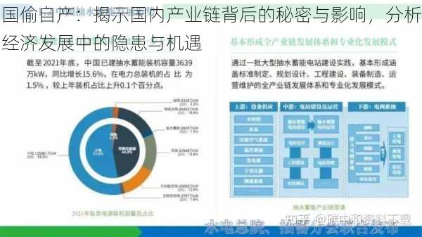 国偷自产：揭示国内产业链背后的秘密与影响，分析经济发展中的隐患与机遇