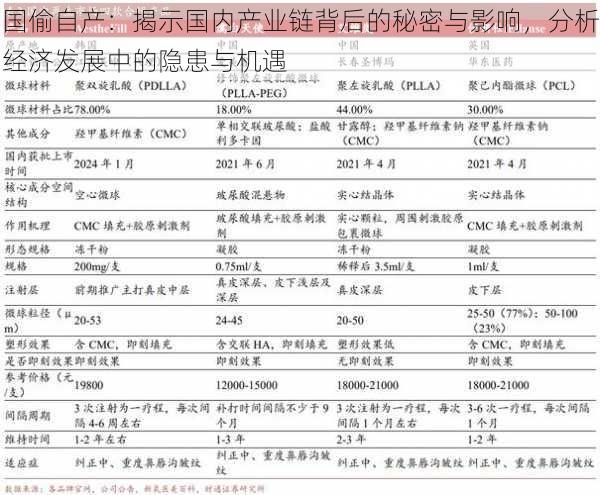 国偷自产：揭示国内产业链背后的秘密与影响，分析经济发展中的隐患与机遇