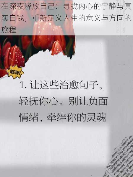 在深夜释放自己：寻找内心的宁静与真实自我，重新定义人生的意义与方向的旅程