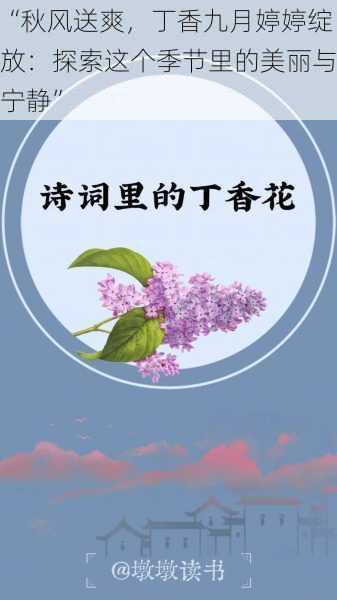 “秋风送爽，丁香九月婷婷绽放：探索这个季节里的美丽与宁静”