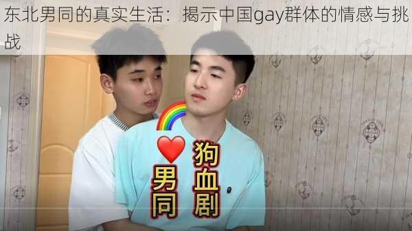 东北男同的真实生活：揭示中国gay群体的情感与挑战