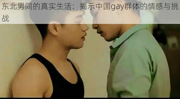 东北男同的真实生活：揭示中国gay群体的情感与挑战