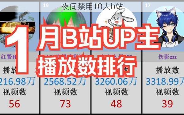 夜间禁用10大b站