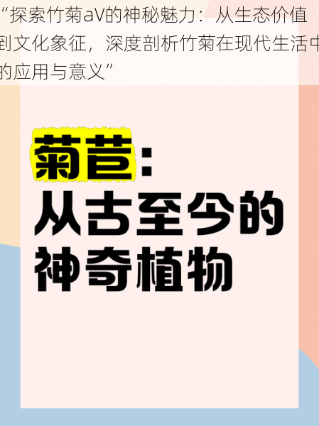 “探索竹菊a∨的神秘魅力：从生态价值到文化象征，深度剖析竹菊在现代生活中的应用与意义”