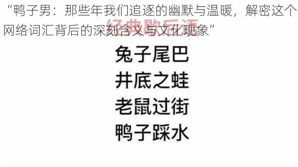 “鸭子男：那些年我们追逐的幽默与温暖，解密这个网络词汇背后的深刻含义与文化现象”