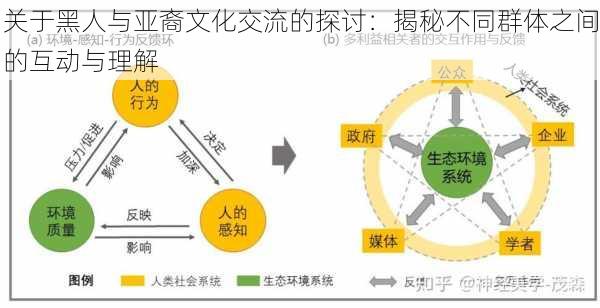 关于黑人与亚裔文化交流的探讨：揭秘不同群体之间的互动与理解