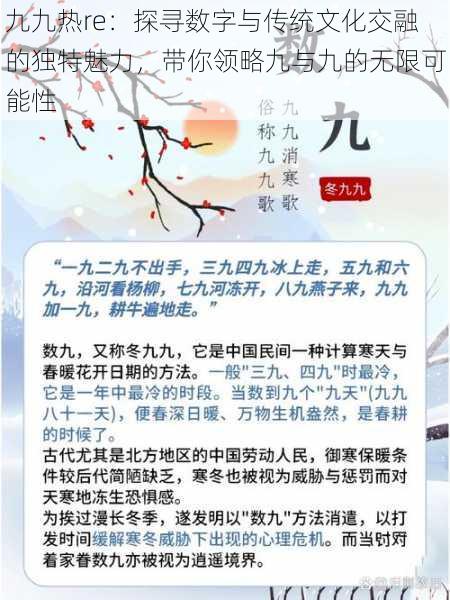 九九热re：探寻数字与传统文化交融的独特魅力，带你领略九与九的无限可能性