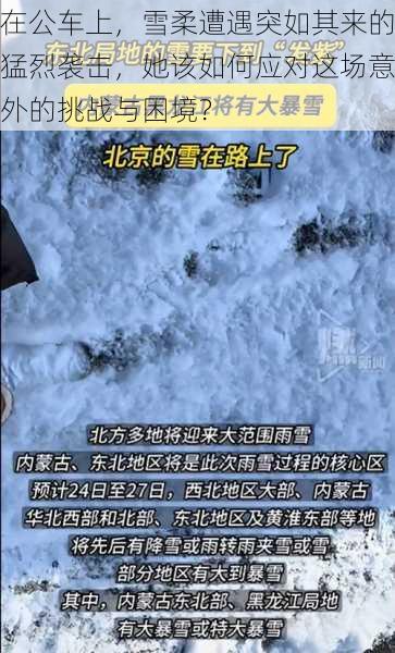 在公车上，雪柔遭遇突如其来的猛烈袭击，她该如何应对这场意外的挑战与困境？