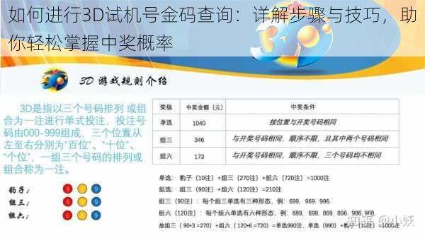 如何进行3D试机号金码查询：详解步骤与技巧，助你轻松掌握中奖概率