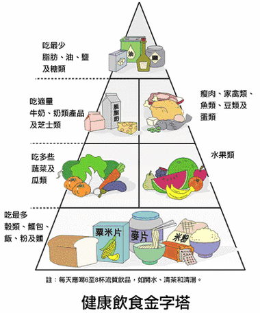 一个上吃一个下：探讨饮食习惯与健康的相互影响，如何在生活中实现更好的平衡与调和