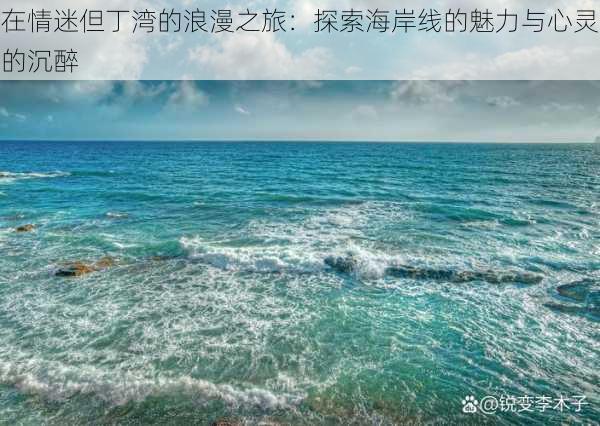 在情迷但丁湾的浪漫之旅：探索海岸线的魅力与心灵的沉醉