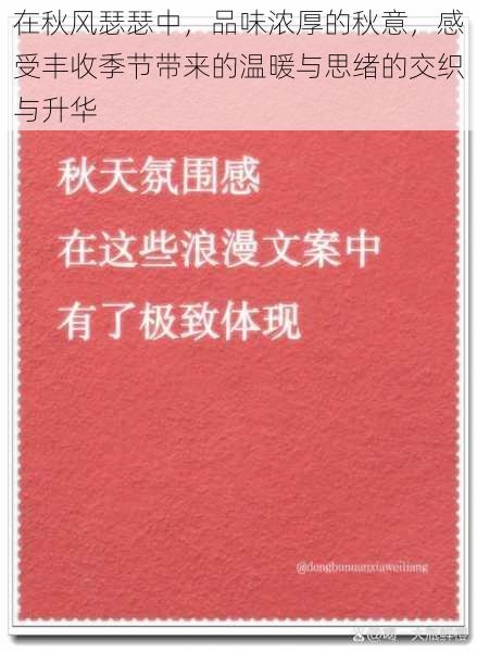 在秋风瑟瑟中，品味浓厚的秋意，感受丰收季节带来的温暖与思绪的交织与升华