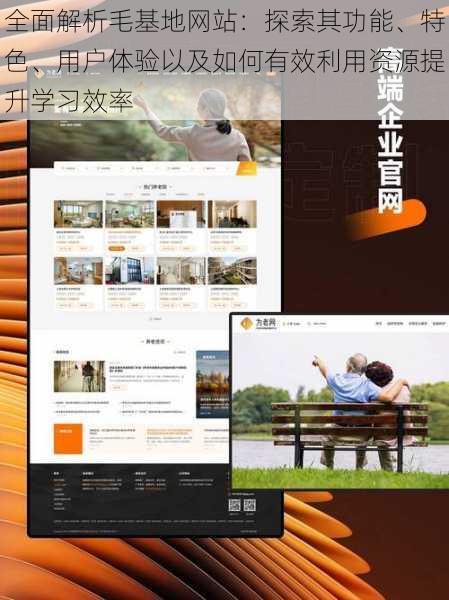 全面解析毛基地网站：探索其功能、特色、用户体验以及如何有效利用资源提升学习效率