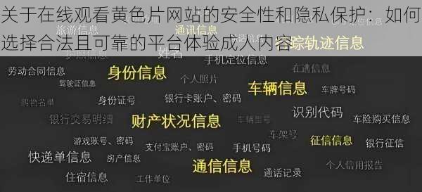 关于在线观看黄色片网站的安全性和隐私保护：如何选择合法且可靠的平台体验成人内容