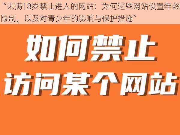 “未满18岁禁止进入的网站：为何这些网站设置年龄限制，以及对青少年的影响与保护措施”