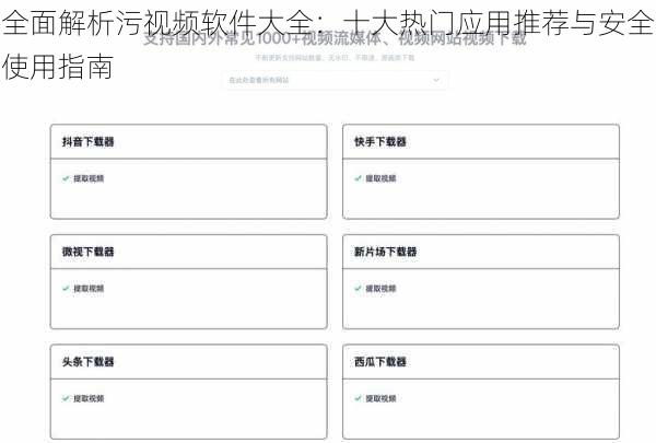 全面解析污视频软件大全：十大热门应用推荐与安全使用指南