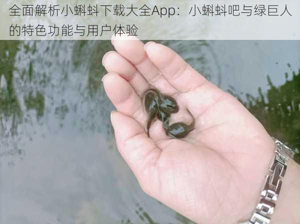 全面解析小蝌蚪下载大全App：小蝌蚪吧与绿巨人的特色功能与用户体验