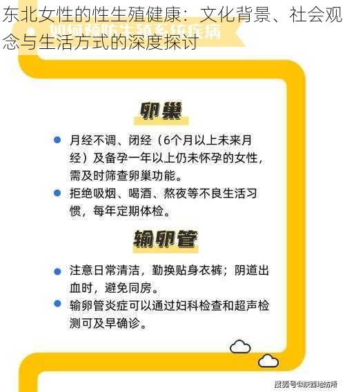 东北女性的性生殖健康：文化背景、社会观念与生活方式的深度探讨