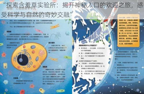 “探索含羞草实验所：揭开神秘入口的欢迎之旅，感受科学与自然的奇妙交融”