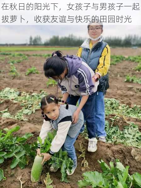 在秋日的阳光下，女孩子与男孩子一起拔萝卜，收获友谊与快乐的田园时光