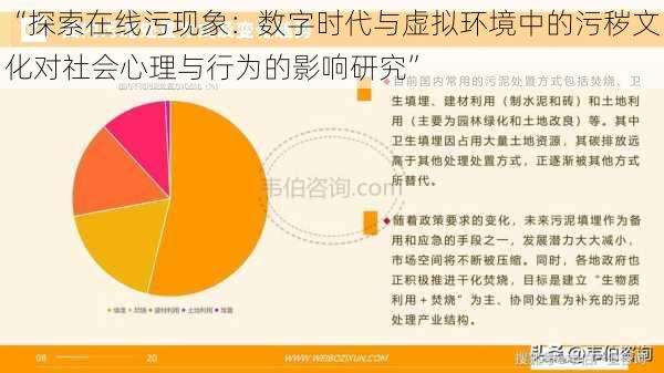 “探索在线污现象：数字时代与虚拟环境中的污秽文化对社会心理与行为的影响研究”