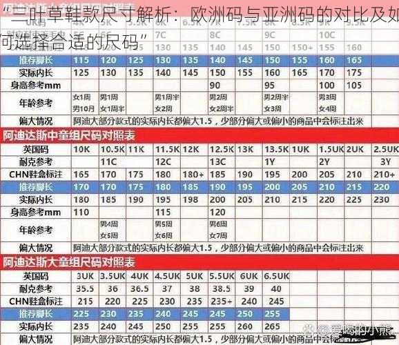 “三叶草鞋款尺寸解析：欧洲码与亚洲码的对比及如何选择合适的尺码”