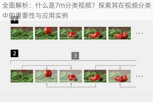 全面解析：什么是7m分类视频？探索其在视频分类中的重要性与应用实例