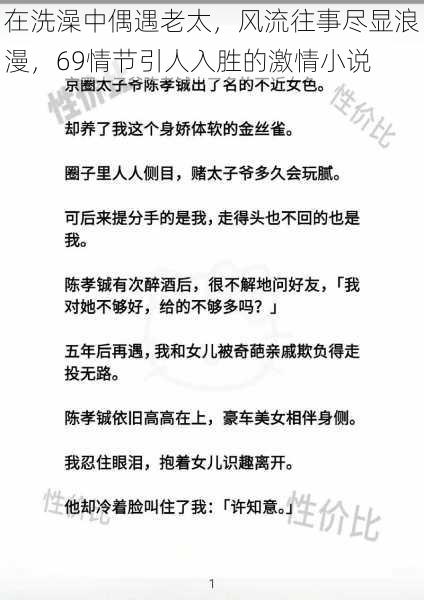 在洗澡中偶遇老太，风流往事尽显浪漫，69情节引人入胜的激情小说