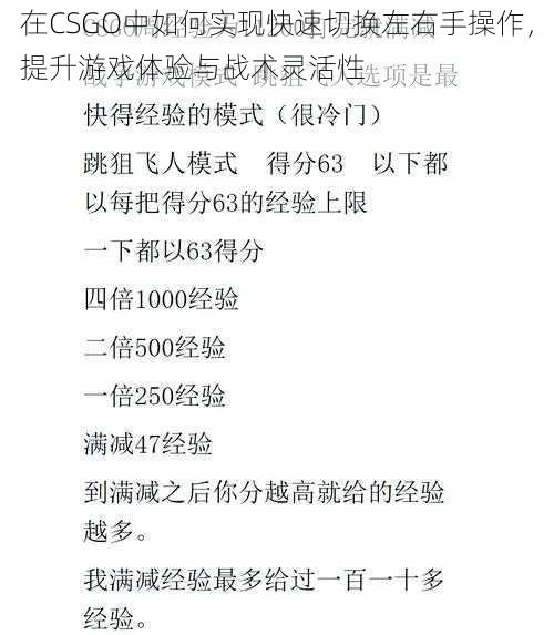 在CSGO中如何实现快速切换左右手操作，提升游戏体验与战术灵活性