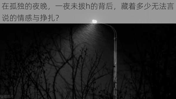 在孤独的夜晚，一夜未拔h的背后，藏着多少无法言说的情感与挣扎？