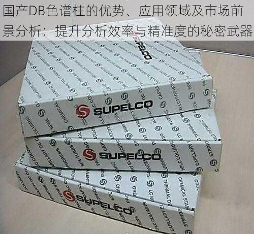 国产DB色谱柱的优势、应用领域及市场前景分析：提升分析效率与精准度的秘密武器