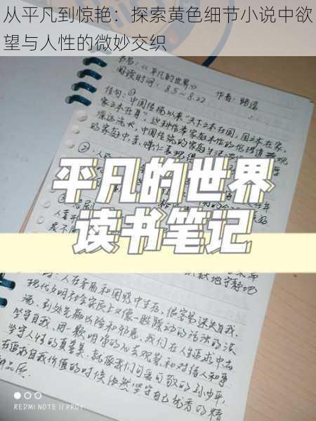 从平凡到惊艳：探索黄色细节小说中欲望与人性的微妙交织