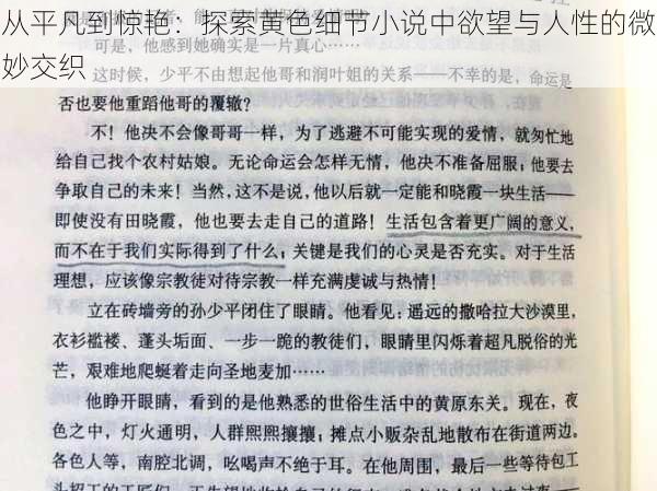 从平凡到惊艳：探索黄色细节小说中欲望与人性的微妙交织