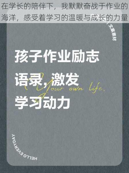 在学长的陪伴下，我默默奋战于作业的海洋，感受着学习的温暖与成长的力量