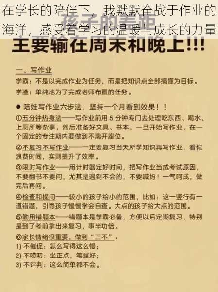 在学长的陪伴下，我默默奋战于作业的海洋，感受着学习的温暖与成长的力量