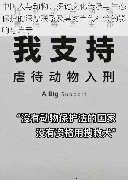 中国人与动物：探讨文化传承与生态保护的深厚联系及其对当代社会的影响与启示