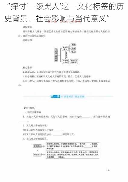 “探讨‘一级黑人’这一文化标签的历史背景、社会影响与当代意义”