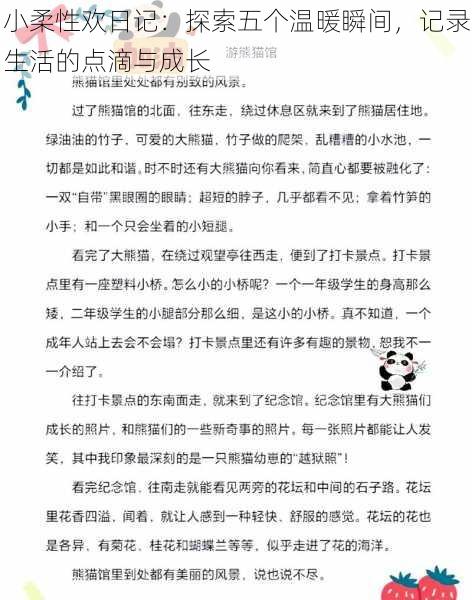 小柔性欢日记：探索五个温暖瞬间，记录生活的点滴与成长