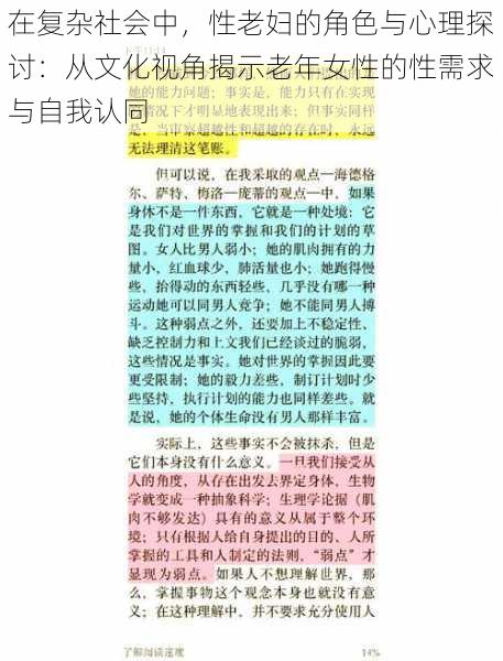 在复杂社会中，性老妇的角色与心理探讨：从文化视角揭示老年女性的性需求与自我认同