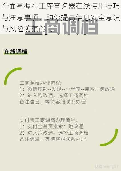 全面掌握社工库查询器在线使用技巧与注意事项，助你提高信息安全意识与风险防范能力