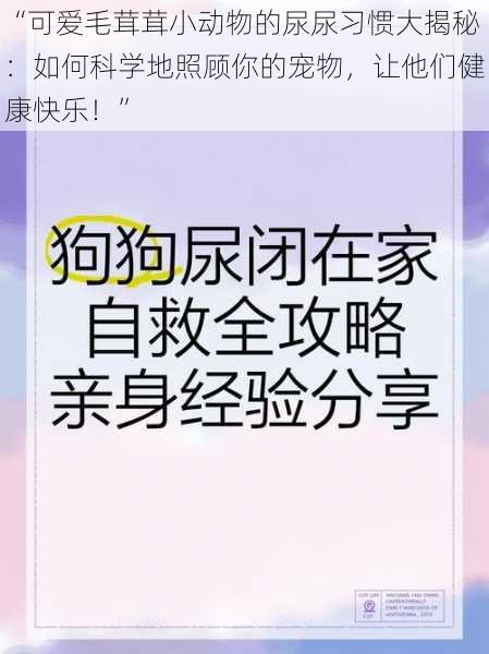 “可爱毛茸茸小动物的尿尿习惯大揭秘：如何科学地照顾你的宠物，让他们健康快乐！”