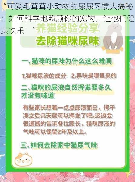 “可爱毛茸茸小动物的尿尿习惯大揭秘：如何科学地照顾你的宠物，让他们健康快乐！”