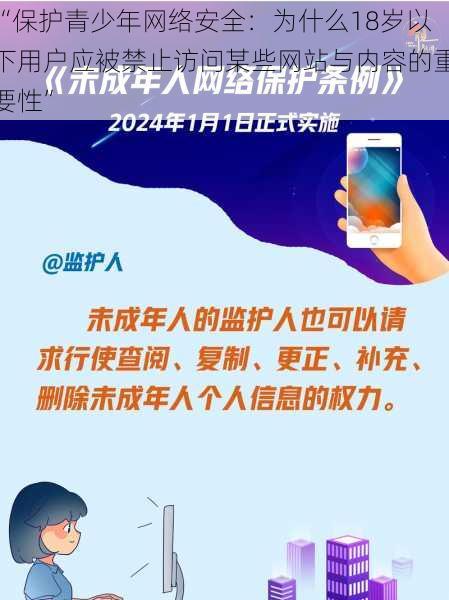 “保护青少年网络安全：为什么18岁以下用户应被禁止访问某些网站与内容的重要性”