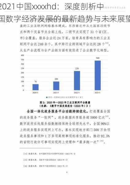 2021中国xxxxhd：深度剖析中国数字经济发展的最新趋势与未来展望